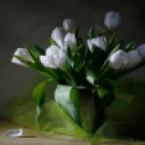 76 - White Tulips